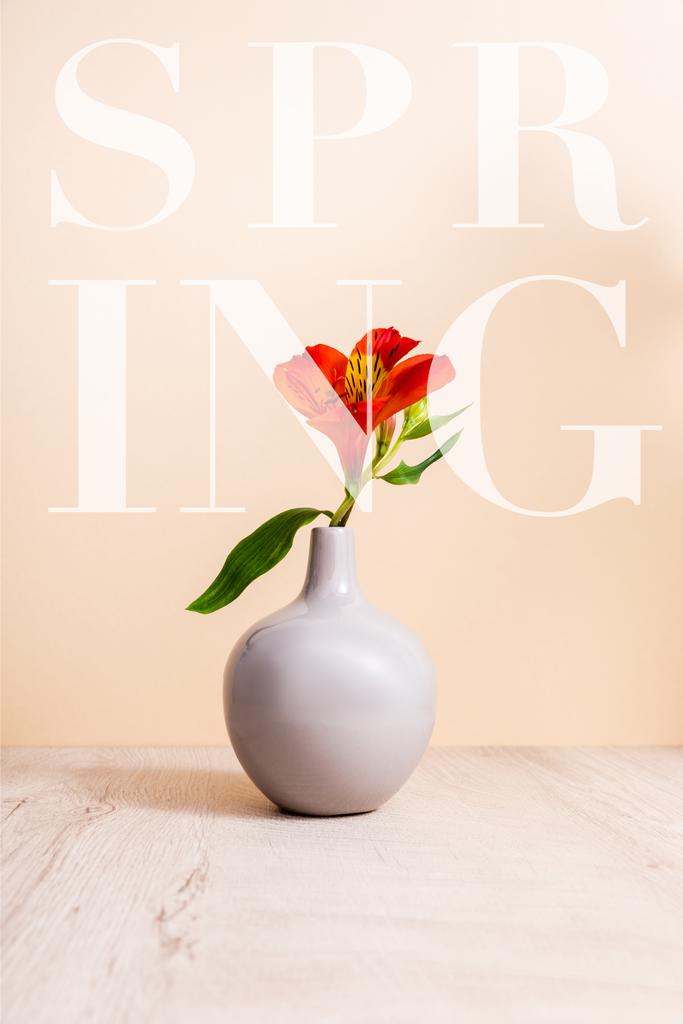 Rote Alstroemeria in Vase auf Holzoberfläche in der Nähe des Frühlingsschriftzugs auf Beige - Foto, Bild