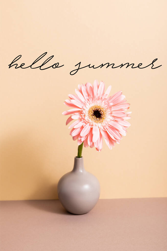gerberas rosadas en jarrón cerca de hola letras de verano en beige
  - Foto, Imagen