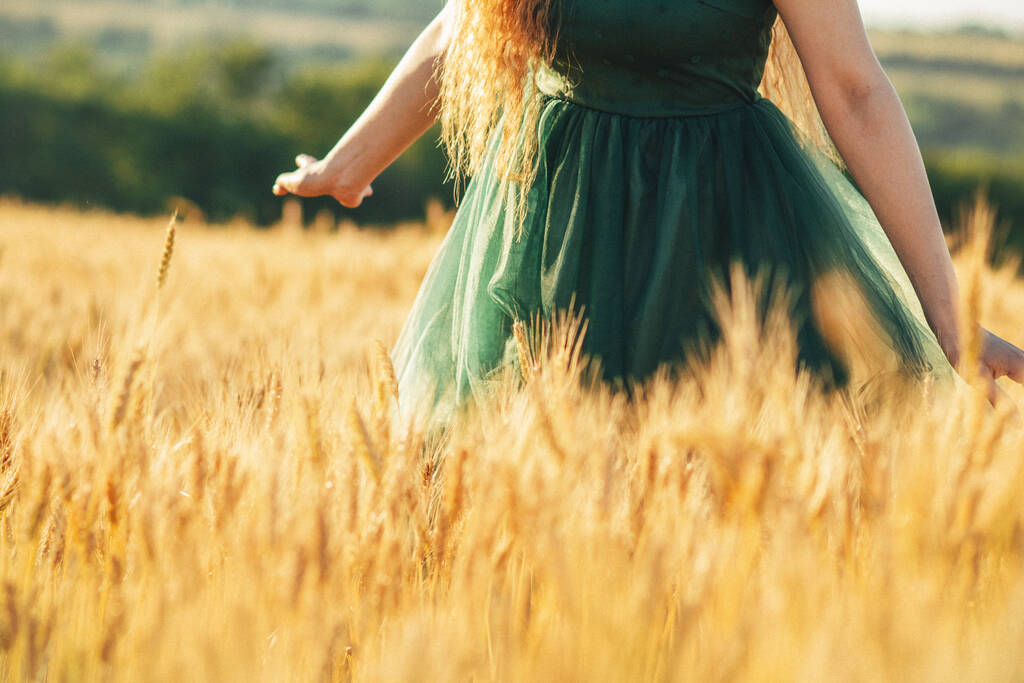 Mulher bonita em vestido verde caminhando no campo e toca orelhas de trigo com a mão ao pôr do sol luz, menina desfrutando de verão natureza paisagem
 - Foto, Imagem