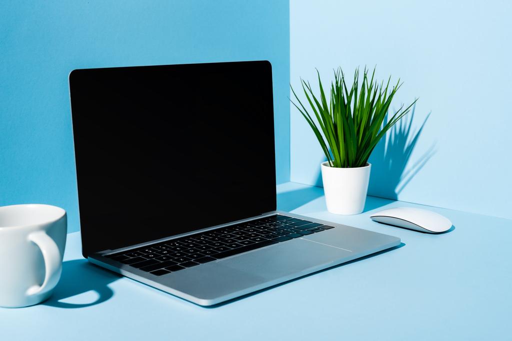 modern laptop with computer mouse near green plant and mug on blue background - Photo, Image