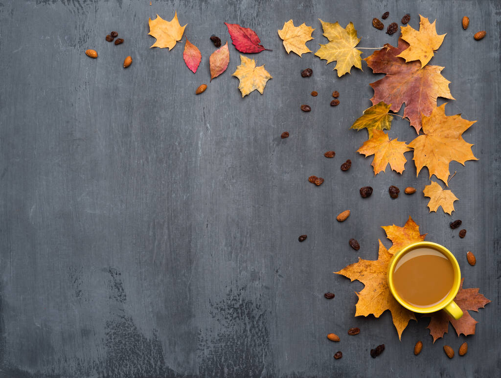 Saisonale Herbststimmung. Rahmen aus bunten Ahornblättern und einer Tasse Heißgetränk, Kaffee, Latte oder Cappuccino, Muskatnuss und Zimt über grauer Textur. - Foto, Bild