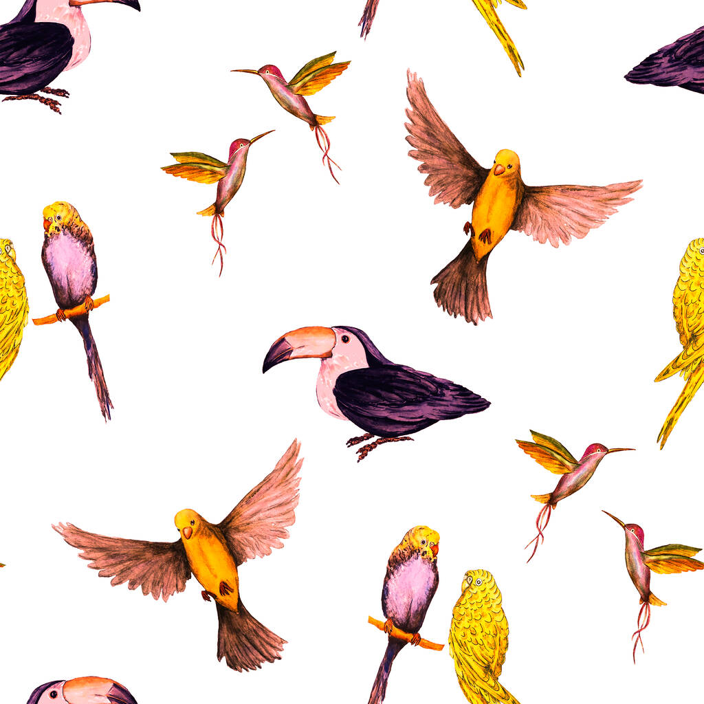 Aquarelloos patroon met vogel (papegaaien, toekans, kolibries). Exotische jungle vogel behang. Geweldig ontwerp voor elk doel. Heldere zomerprint. - Foto, afbeelding