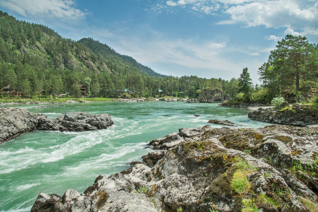 Katun river in the Altai mountains, Siberia. Forest and rocks on the banks. Summer travel. - Photo, Image