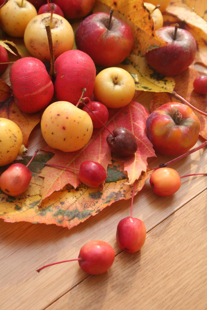 Contexte d'automne sur la mise au point sélective. Pommes rouges et jaunes ornementales aux feuilles automnales.  - Photo, image