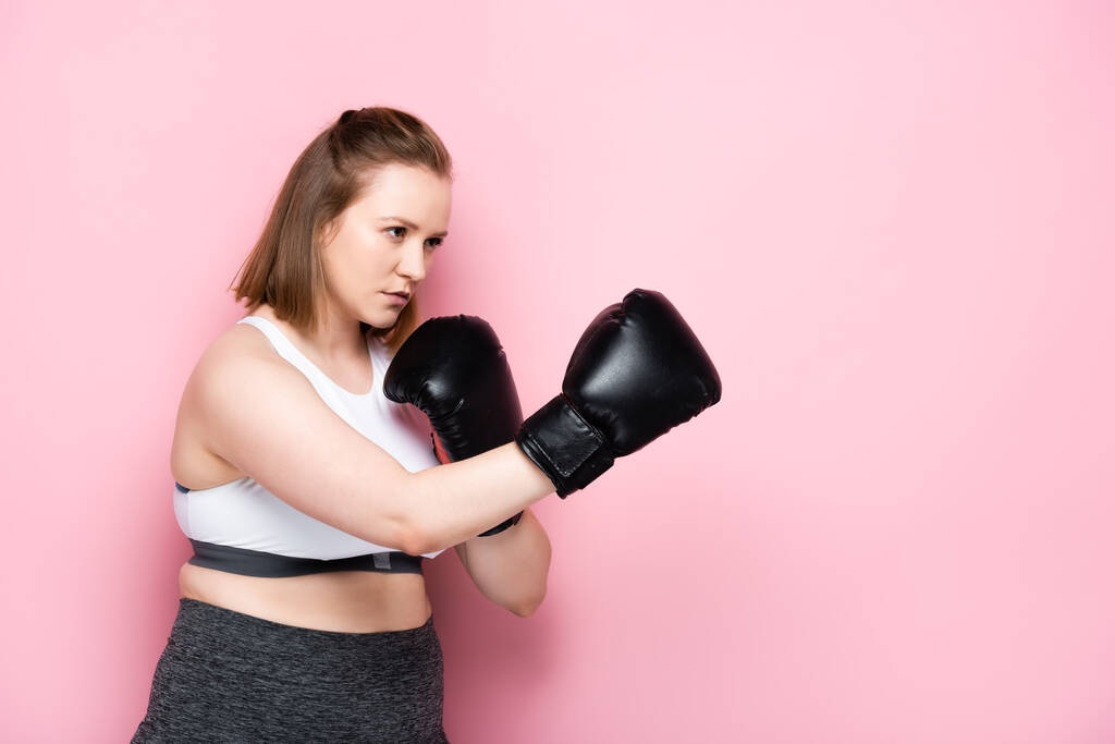 focalizzata ragazza in sovrappeso in allenamento abbigliamento sportivo in guanti da boxe su rosa - Foto, immagini