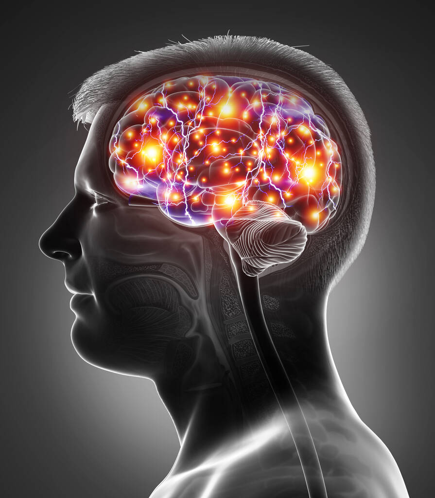 3d renderizado, ilustración médicamente precisa de un cerebro activo masculino
 - Foto, imagen