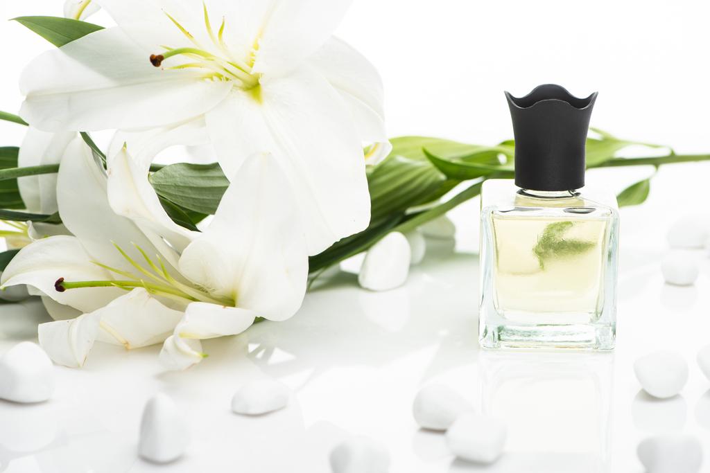 домашній парфум у пляшці біля спа-камінців та лілій на білому тлі
 - Фото, зображення