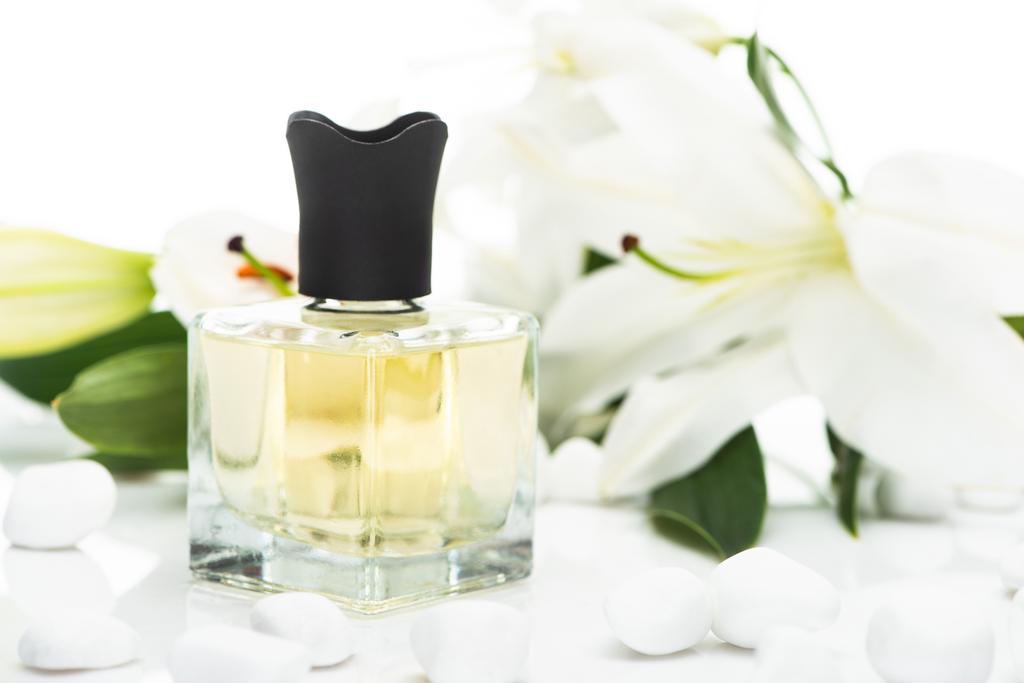 selectieve focus van home parfum in fles in de buurt van spa stenen en lelies op witte achtergrond - Foto, afbeelding