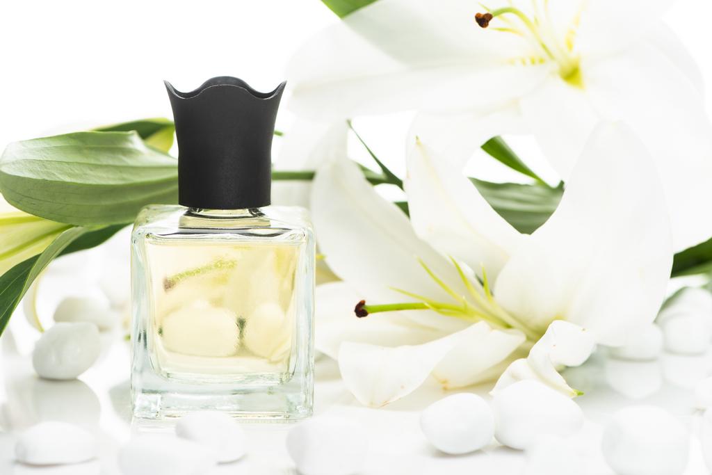 Beyaz arka planda spa taşları ve zambakların yanındaki şişe içinde ev parfümü - Fotoğraf, Görsel