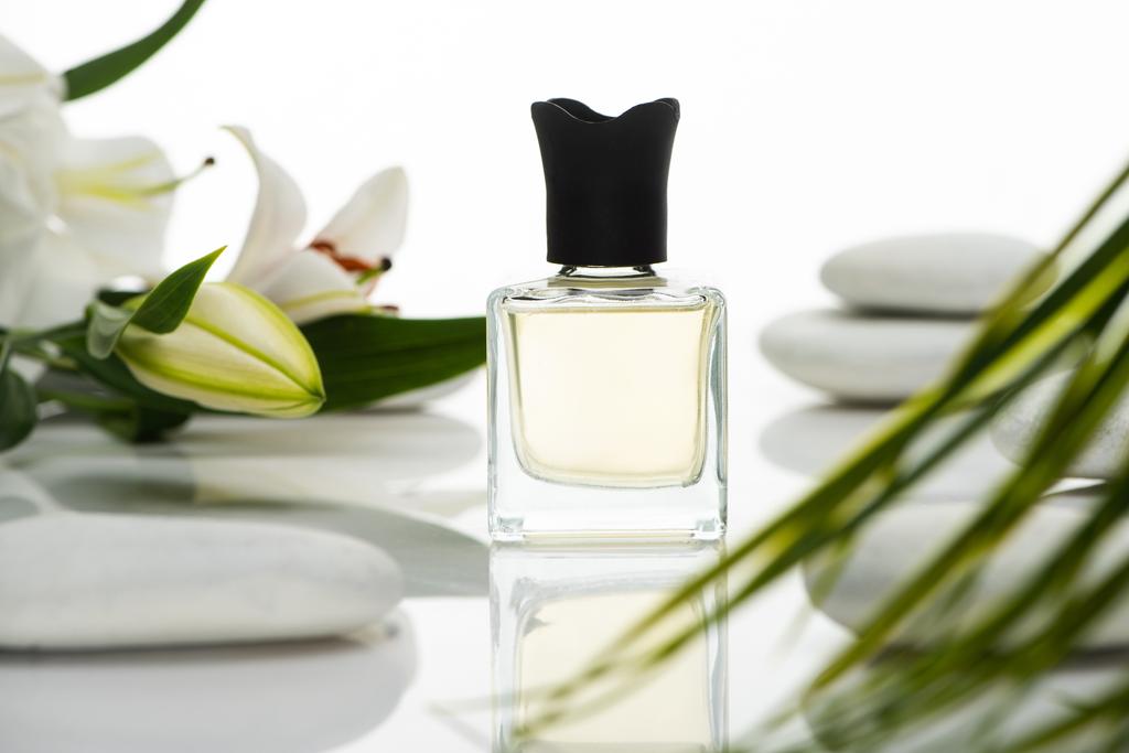foco selectivo de perfume cerca de piedras de spa y lirios aislados en blanco
 - Foto, Imagen
