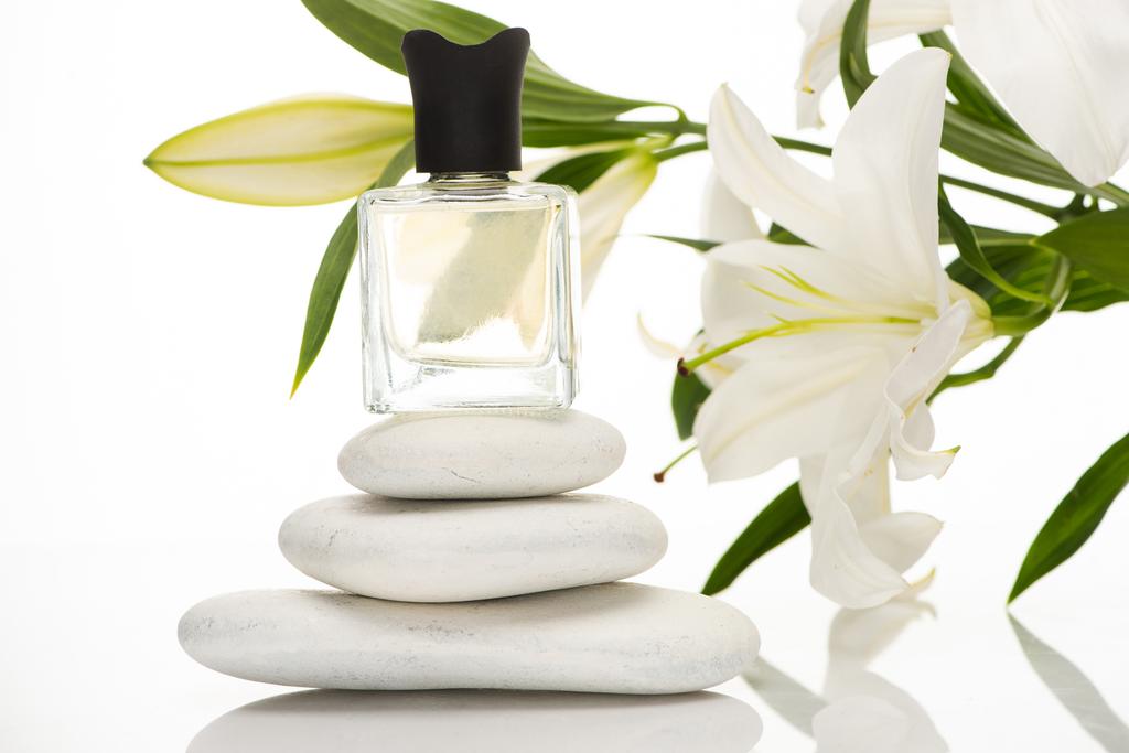 perfume casero en botella cerca de piedras de spa y lirios sobre fondo blanco
 - Foto, imagen