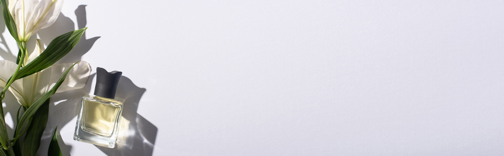 vista superior de perfume caseiro em garrafa perto de lírios sobre fundo branco, tiro panorâmico
 - Foto, Imagem