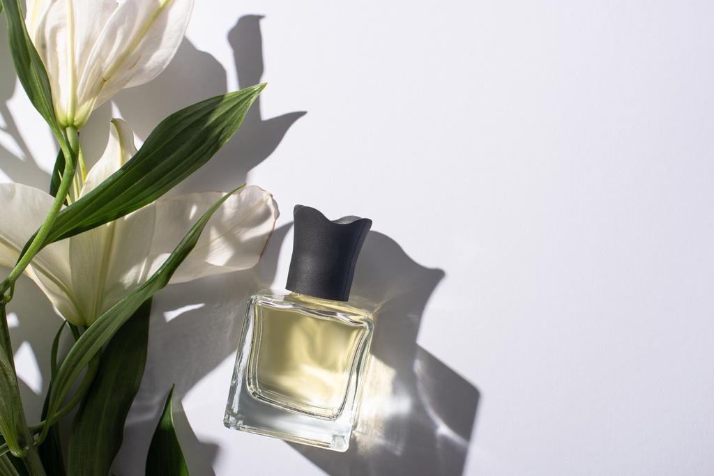 top view of home perfume in bottle near lilies on white background - Photo, Image