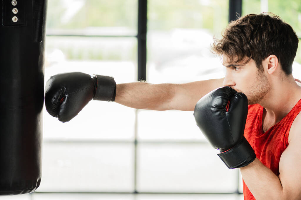 vista lateral del deportista atlético en guantes de boxeo trabajando con saco de boxeo
  - Foto, Imagen