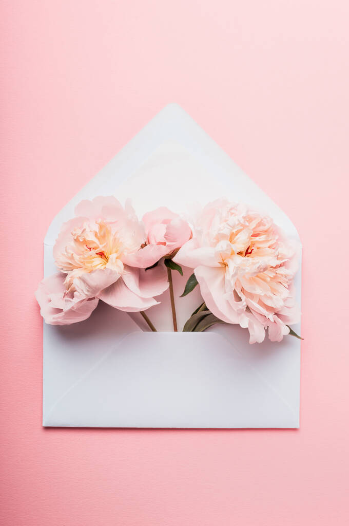 Enveloppe ouverte avec des arrangements de fleurs pivoines sur fond rose, vue de dessus. Concept de salutation festive - Photo, image