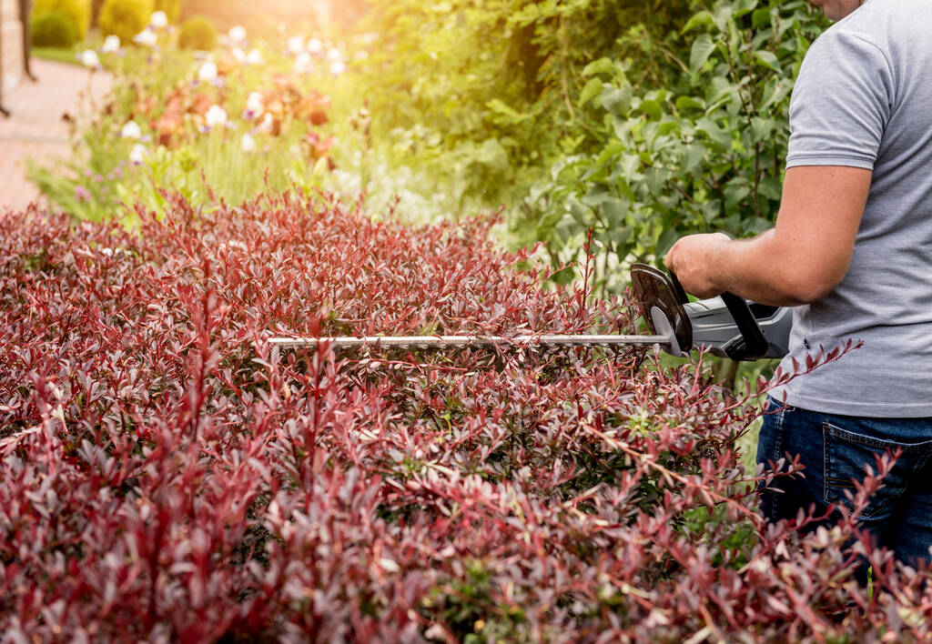 Çim biçme makinesiyle çalı biçen bir bahçıvan - Fotoğraf, Görsel