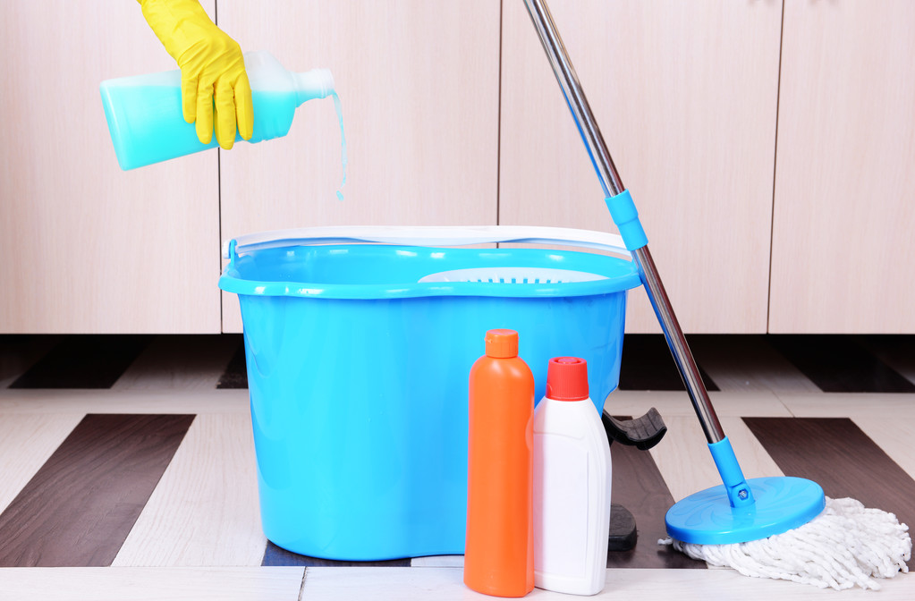 Limpieza de la casa con fregona
 - Foto, imagen