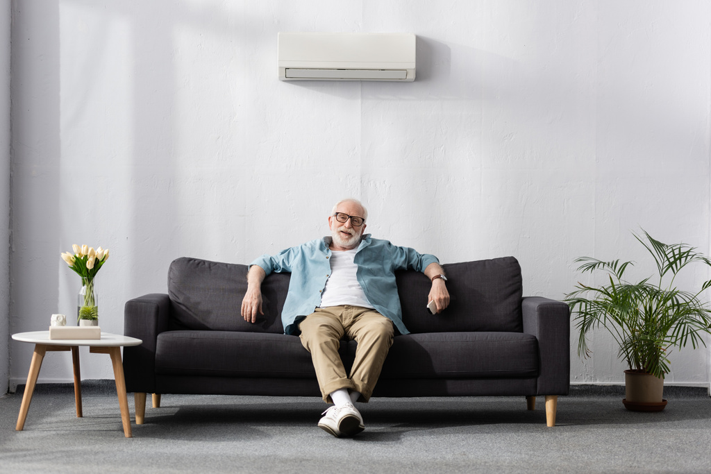 Homme âgé souriant regardant la caméra et tenant télécommande du climatiseur à la maison  - Photo, image