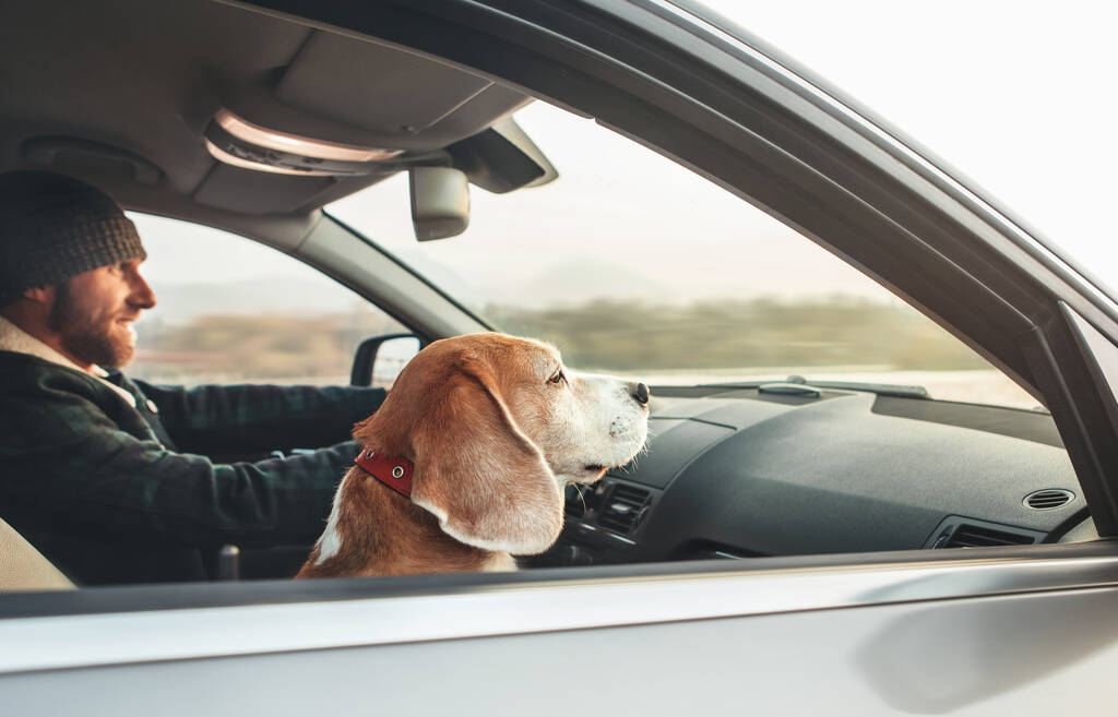 Sıcak giyimli adam, yardımcı sürücü koltuğunda oturan av köpeğiyle modern arabanın keyfini çıkarıyor.. - Fotoğraf, Görsel