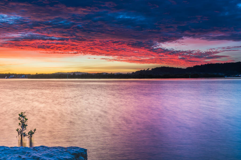 Cosechadora y puesta del sol en el lago Tuggerah de Canton Beach en la costa central de NSW, Australia
. - Foto, imagen