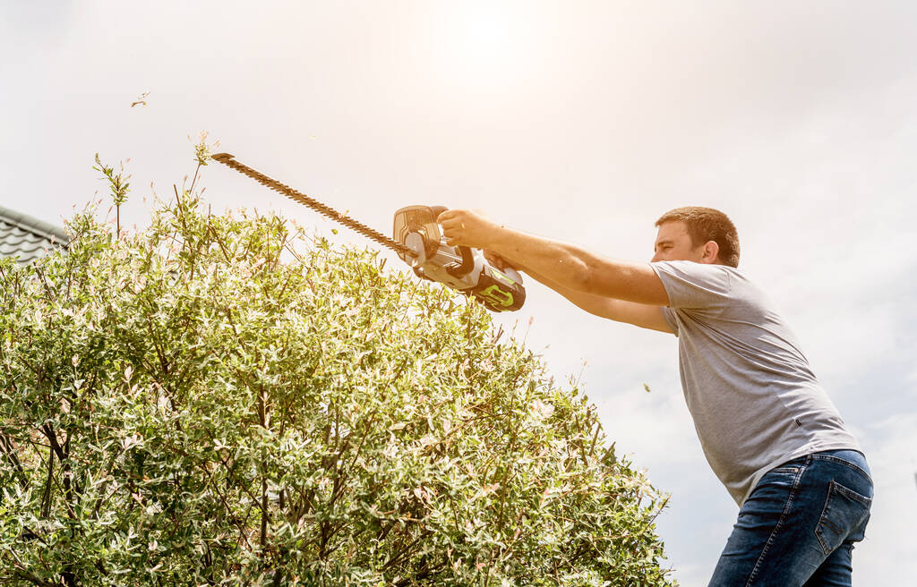 Egy kertész sövénynyíróval nyírja a fákat. - Fotó, kép