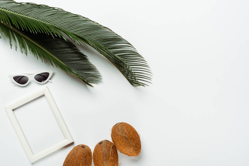 vista dall'alto di foglie di palma verde, occhiali da sole, noci di cocco e cornice quadrata su sfondo bianco - Foto, immagini