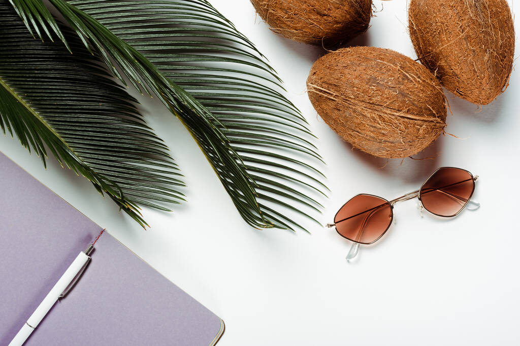 vrchní pohled na zelené palmové listy, sluneční brýle, kokosové ořechy a poznámkový blok na bílém pozadí - Fotografie, Obrázek