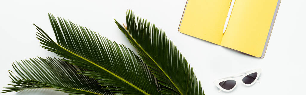Güneş gözlüğü yakınındaki yeşil palmiye yapraklarının üst görüntüsü ve beyaz arkaplanda sarı planlayıcı, panoramik çekim - Fotoğraf, Görsel
