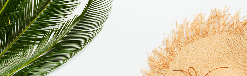 Beyaz arkaplanda saman şapka yakınındaki yeşil palmiye yapraklarının üst görünümü, panoramik çekim - Fotoğraf, Görsel