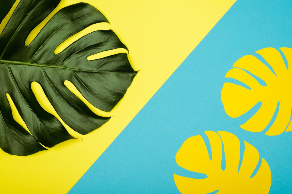 黄色の紙の上から見たヤシの葉と青の背景の緑 - 写真・画像