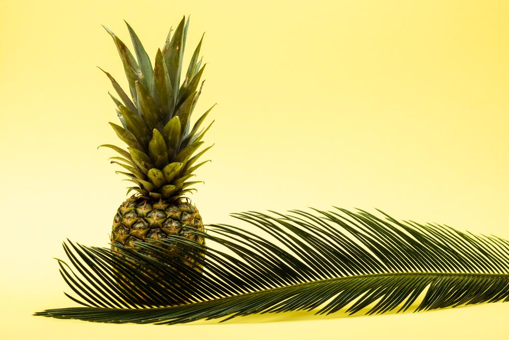 herkullinen makea ananas ja palmunlehti keltaisella pohjalla - Valokuva, kuva