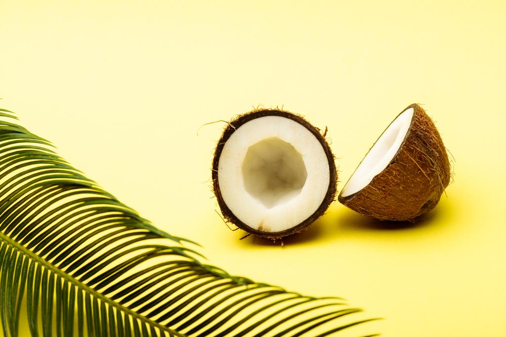 köstliche süße Kokosnuss und Palmblatt auf gelbem Hintergrund - Foto, Bild
