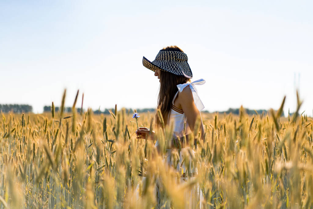 młoda piękna kobieta z długimi włosami w białej sukience i kapeluszu wśród żółtego pola żyta i pszenicy. - Zdjęcie, obraz