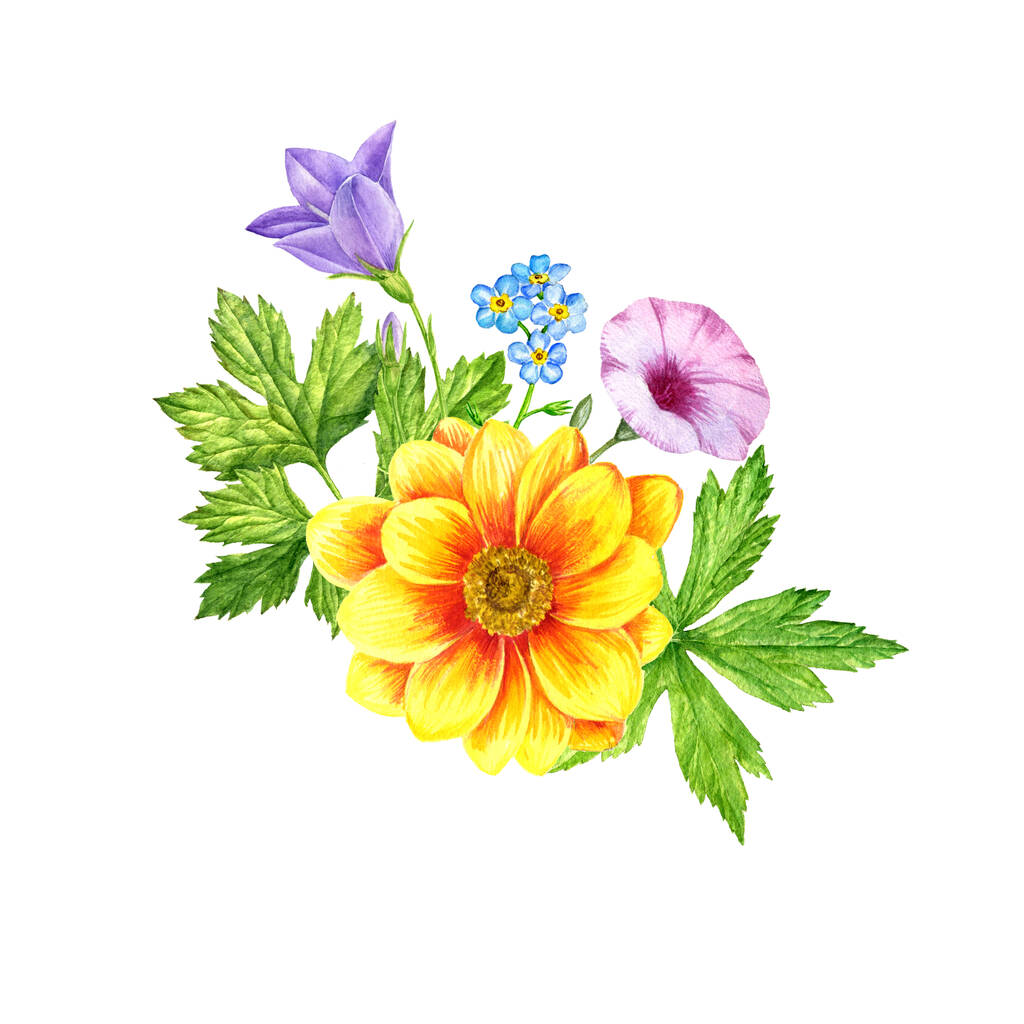 akwarela rysunek kwiaty - Zdjęcie, obraz