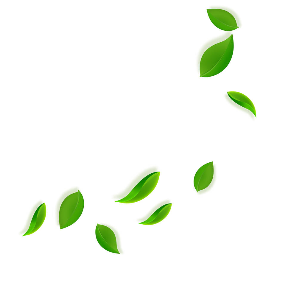 Foglie verdi cadenti. Tè fresco foglie ordinate volare - Vettoriali, immagini