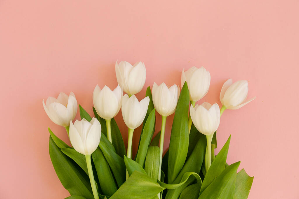 Taze çiçek kompozisyonu, arka planda pembe kağıtlı çift renkli lalelerin düzenlenmesi. Uluslararası Kadınlar Günü, Anneler Günü karşılama konsepti. Boşluğu kopyala, kapat, üst görünüm, düz yatış. - Fotoğraf, Görsel