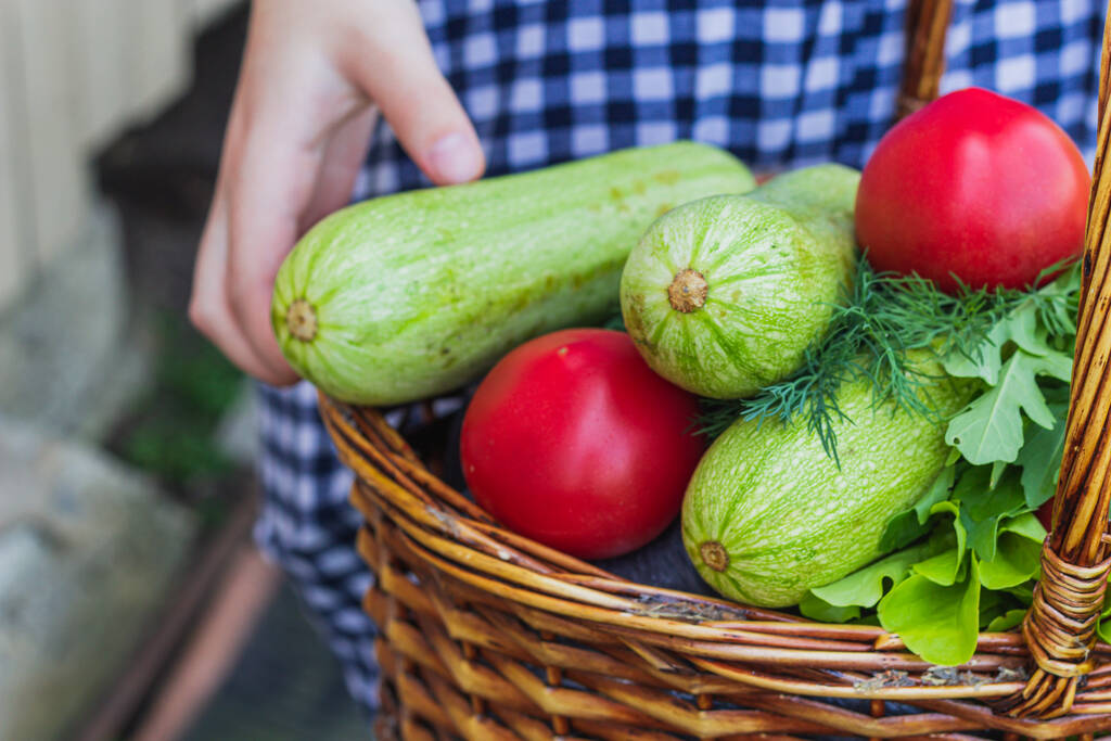 en el jardín en una cesta de mimbre es un cultivo que consiste en tomates, lechuga, calabacín, albahaca, eneldo
 - Foto, Imagen