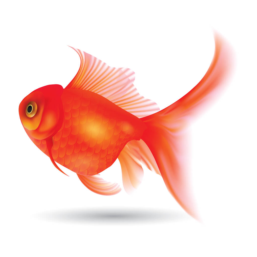 zlatá rybka plochá ikona, vektorová ilustrace - Vektor, obrázek