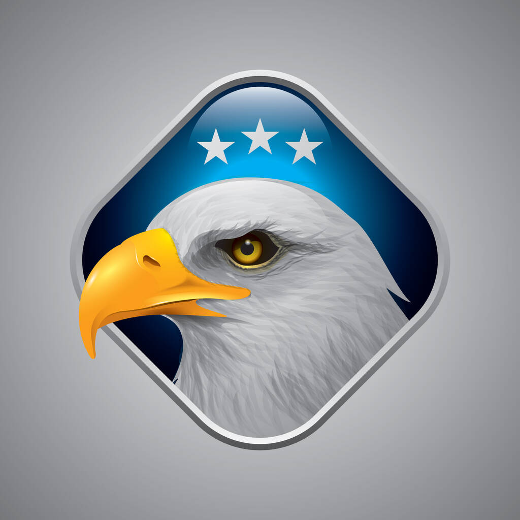 ΗΠΑ αετός σύμβολο επίπεδη εικονίδιο, διανυσματική απεικόνιση - Διάνυσμα, εικόνα