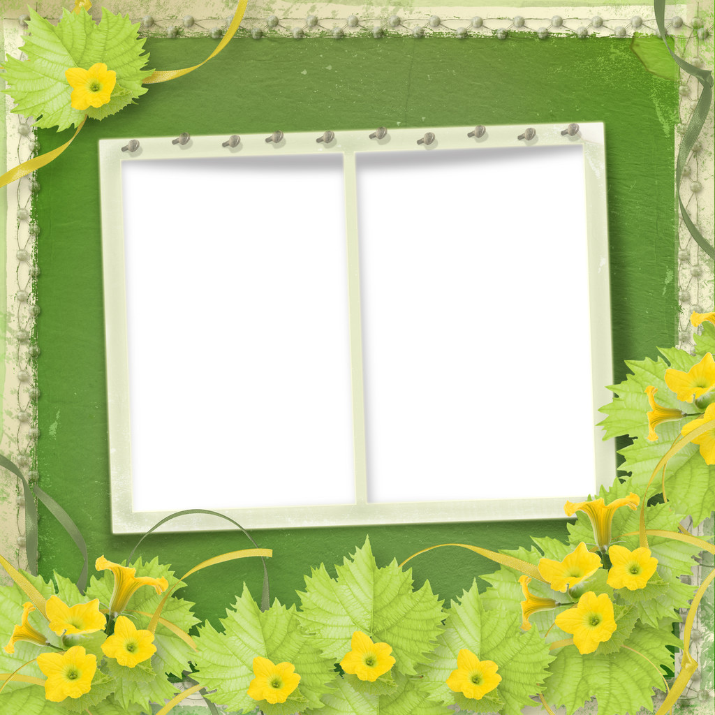 Grunge papier frames met bloemen pompoenen en linten - Foto, afbeelding