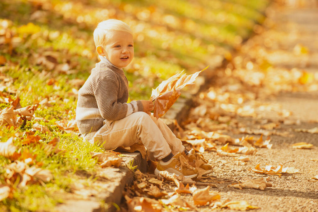 Herfst kind veel plezier en spelen met gevallen gouden bladeren, herfst park. - Foto, afbeelding