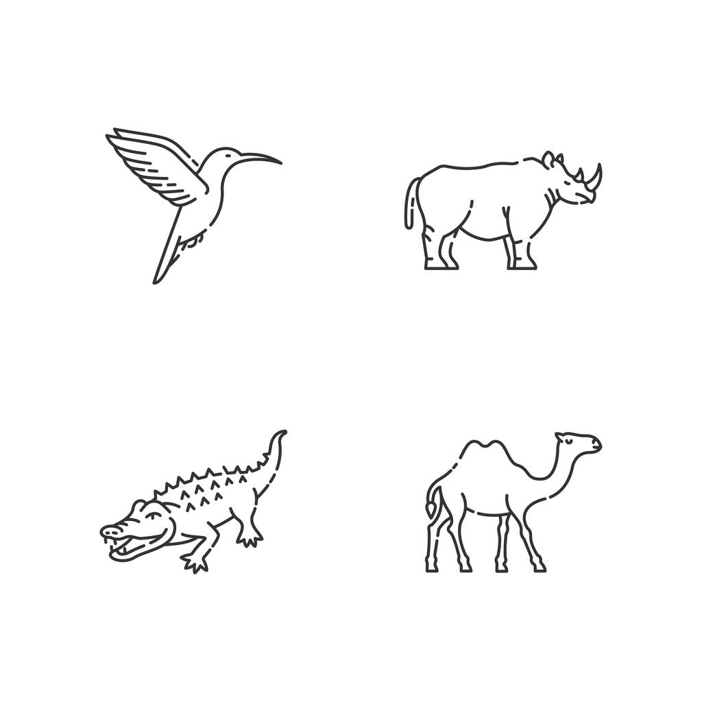Екзотичні тварини піксель ідеальний набір лінійних піктограм. Настроювані символи контуру тонкої лінії. Маленький колібрі, верблюд, алігатор і носороги. Ізольовані векторні контурні ілюстрації. Відредагований хід
 - Вектор, зображення