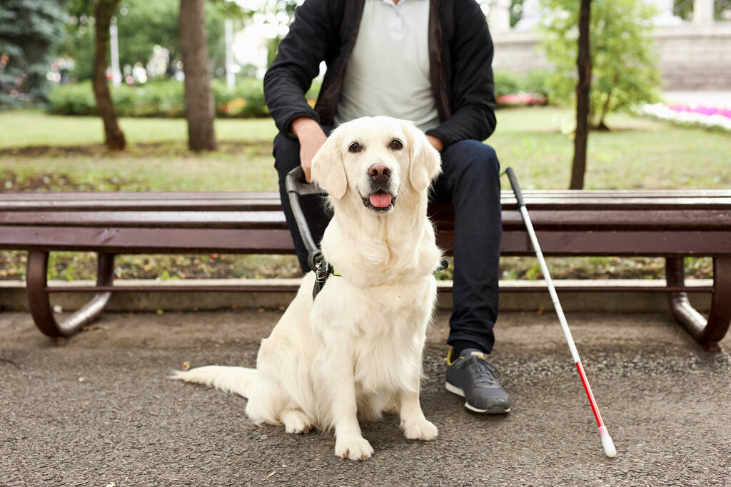 blind man stroke his helpful dog guide - Photo, Image