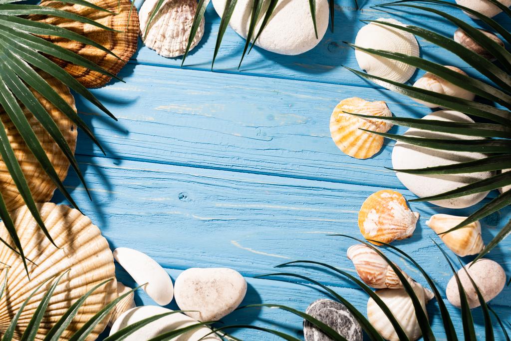 Tahta mavi arka planda deniz kabukları ve palmiye yapraklarının üst görünümü - Fotoğraf, Görsel