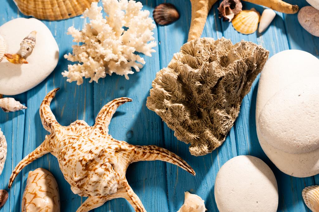 top view of stones, coral and seashells on wooden blue background - Photo, Image