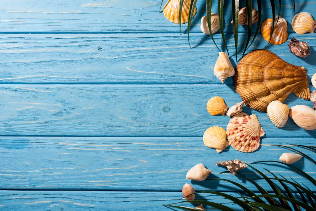 vista superior de conchas marinas y hojas de palma sobre fondo azul madera
 - Foto, Imagen