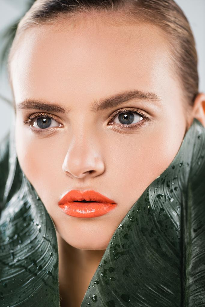 primer plano de hermosa chica con maquillaje cerca de hojas verdes y húmedas
 - Foto, imagen