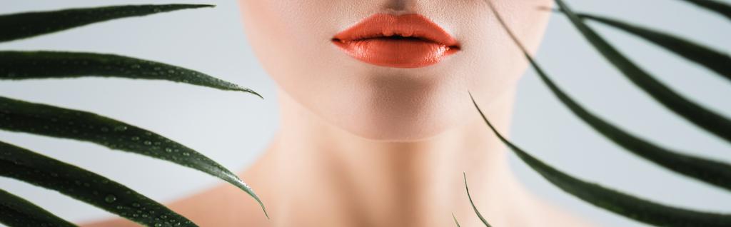 panoramic crop of woman with orange lipstick near palm leaves on white - Photo, Image