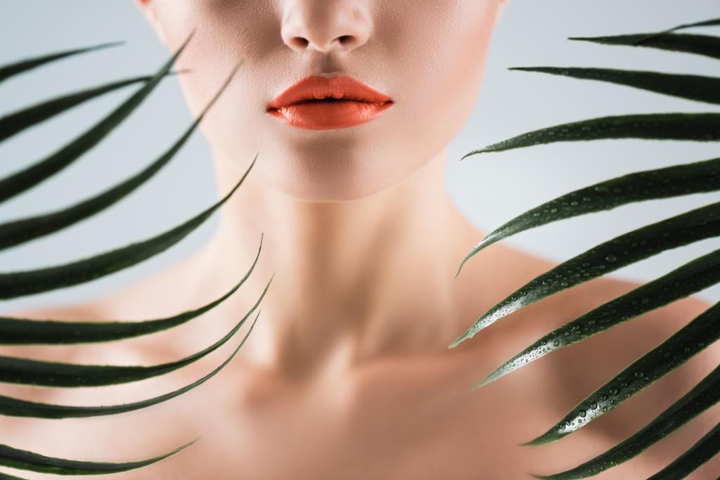 vue recadrée de la femme avec du rouge à lèvres orange près des feuilles de palmier sur blanc - Photo, image