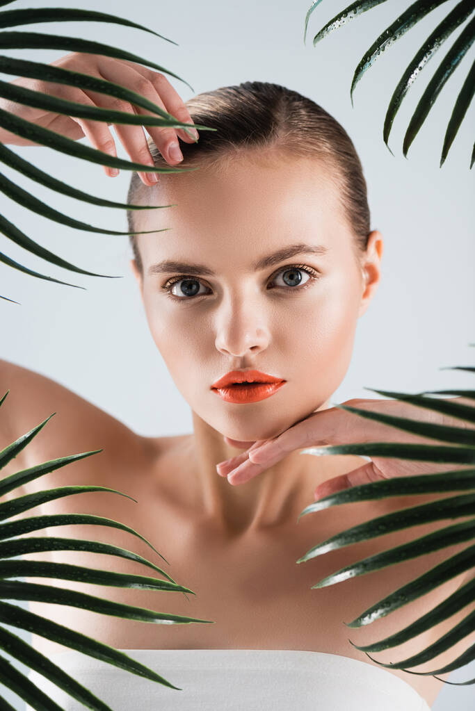 приваблива жінка торкається обличчя біля пальмового листя на білому
 - Фото, зображення